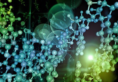 2-Methoxy-5-Nitrophenol Sodium Salt use | Shaanxi BLOOM Tech Co., Ltd 2-Methoxy-5-Nitrophenol Sodium Salt use | Shaanxi BLOOM Tech Co., Ltd