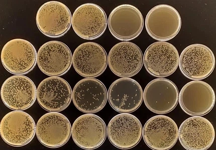 Iodine Balls CAS 12190-71-5 | Shaanxi BLOOM Tech Co., Ltd Iodine Balls CAS 12190-71-5 | Shaanxi BLOOM Tech Co., Ltd