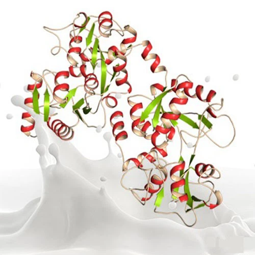 Slu-PP-332 Peptide use | Shaanxi BLOOM Tech Co., Ltd Slu-PP-332 Peptide use | Shaanxi BLOOM Tech Co., Ltd
