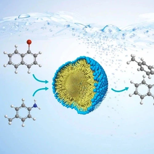 Slu-PP-332 Peptide use | Shaanxi BLOOM Tech Co., Ltd Slu-PP-332 Peptide use | Shaanxi BLOOM Tech Co., Ltd