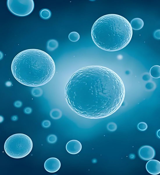 Best Glutathione Injection use| Shaanxi BLOOM Tech Co., Ltd Best Glutathione Injection use| Shaanxi BLOOM Tech Co., Ltd