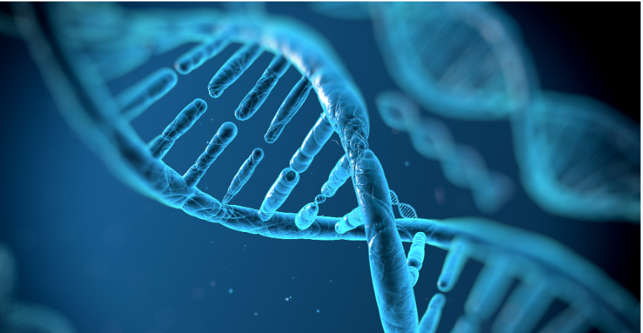 SLU-PP-332 purchase | Shaanxi BLOOM Tech Co., Ltd SLU-PP-332 purchase | Shaanxi BLOOM Tech Co., Ltd