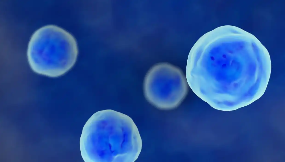 SLU-PP-332 Fatty Acid Oxidation Enzymes | Shaanxi BLOOM Tech Co., Ltd SLU-PP-332 Fatty Acid Oxidation Enzymes | Shaanxi BLOOM Tech Co., Ltd