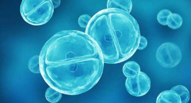 Bioglutide NA-931 Cost | Shaanxi BLOOM Tech Co., Ltd Bioglutide NA-931 Cost | Shaanxi BLOOM Tech Co., Ltd