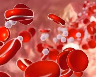 Bioglutide NA-931 Price | Shaanxi BLOOM Tech Co., Ltd Bioglutide NA-931 Price | Shaanxi BLOOM Tech Co., Ltd