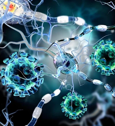 Clomipramine Hydrochloride Capsules use | Shaanxi BLOOM Tech Co., Ltd Clomipramine Hydrochloride Capsules use | Shaanxi BLOOM Tech Co., Ltd