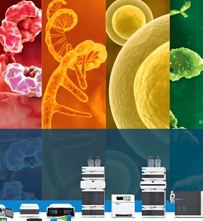 Mirtazapine Structural Analysis | Shaanxi BLOOM Tech Co., Ltd Mirtazapine Structural Analysis | Shaanxi BLOOM Tech Co., Ltd