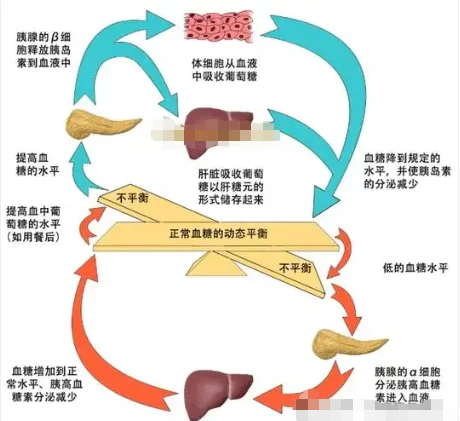 Guar Gum Cliff | Shaanxi BLOOM Tech Co., Ltd Guar Gum Cliff | Shaanxi BLOOM Tech Co., Ltd