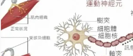 Guar Gum Compared | Shaanxi BLOOM Tech Co., Ltd Guar Gum Compared | Shaanxi BLOOM Tech Co., Ltd